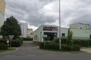 Kwiaciarnia Begonia Grudziądz