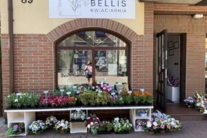 Kwiaciarnia „Bellis” Monika Kulis
