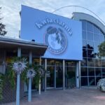 Kwiaciarnia Berberys