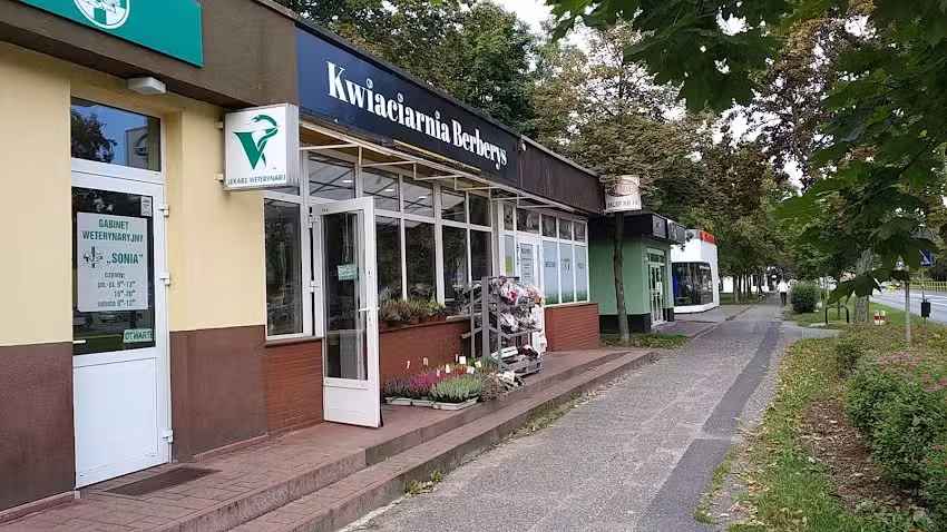 Kwiaciarnia Berberys