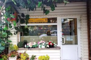 Kwiaciarnia Bez Lipy