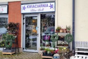 Kwiaciarnia Blue Bell