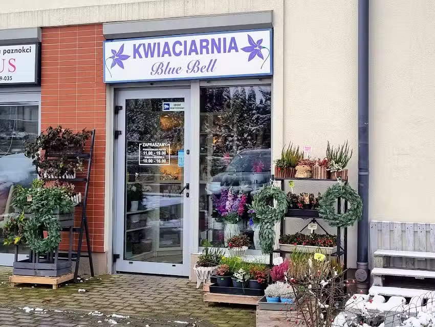 Kwiaciarnia Blue Bell