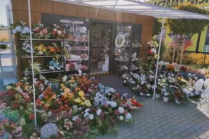 Kwiaciarnia Blumenbox