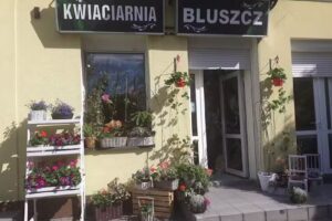 Kwiaciarnia Bluszcz