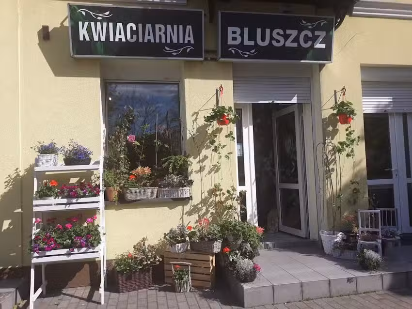 Kwiaciarnia Bluszcz