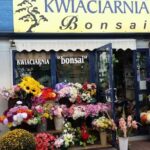 Kwiaciarnia Bonsai