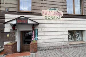 Kwiaciarnia „Bonsai” Maja Kurasz