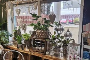 Kwiaciarnia Botaniczna – Nina Janas