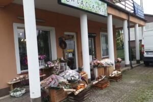 Kwiaciarnia Botanika