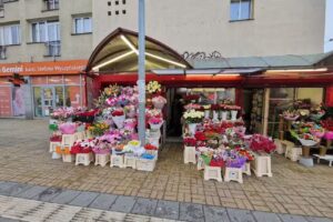 Kwiaciarnia Brama Portowa