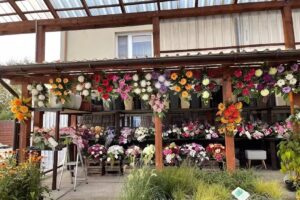 Kwiaciarnia Bratek – Edyta Świetlik