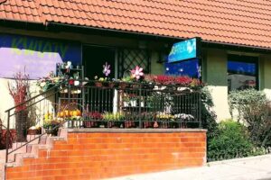 Kwiaciarnia Bratek – Grażyna Skałka