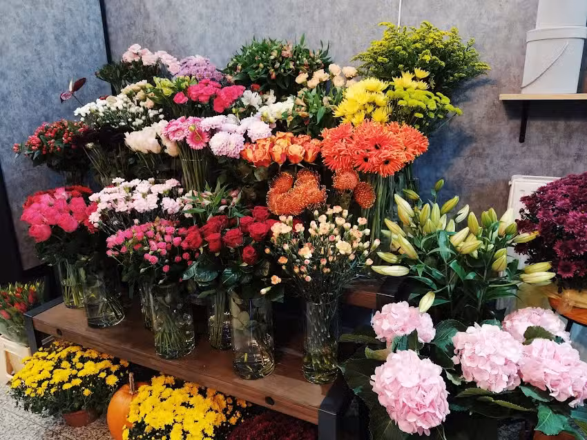 Kwiaciarnia Bujna Flora