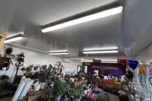 Kwiaciarnia Bzowy Ogródek