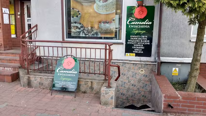 Kwiaciarnia Camelia