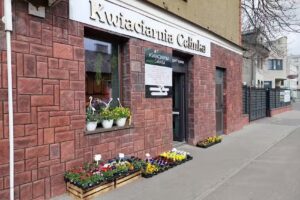 KWIACIARNIA CELINKA