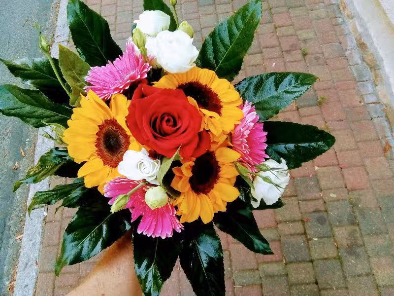 Kwiaciarnia Centrum Barlinek