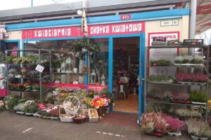 Kwiaciarnia Chatka Kwiatowa Szczecin Manhattan