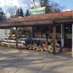 Kwiaciarnia Chryzantema