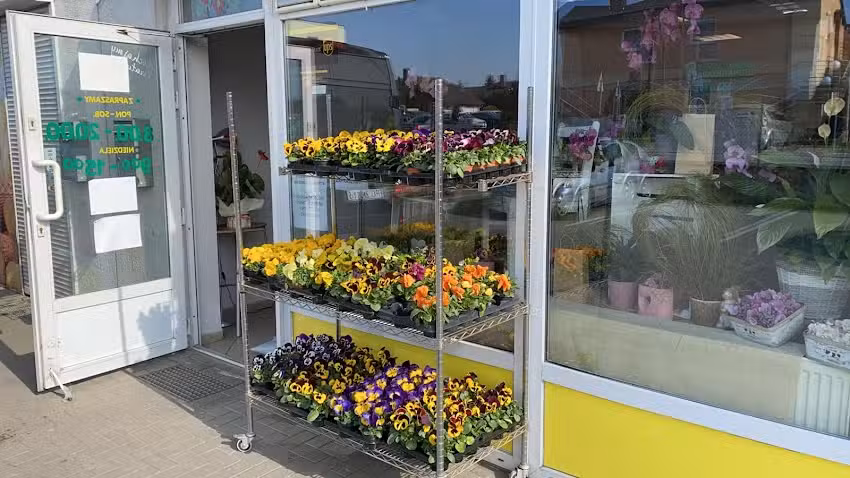 Kwiaciarnia Cielejewski – Plewiska