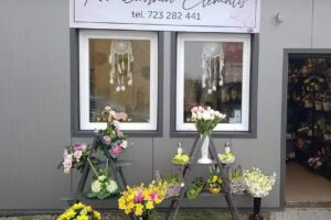 Kwiaciarnia Clematis