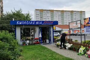 Kwiaciarnia Clivia włocławek