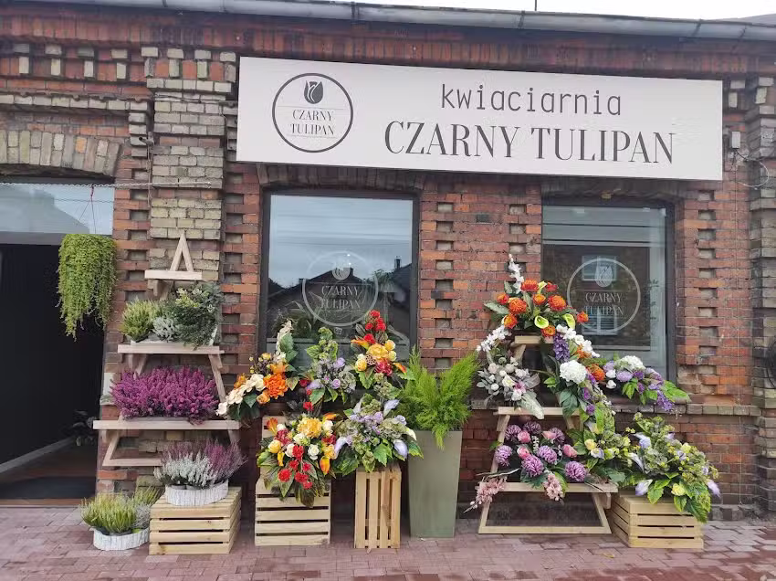 Kwiaciarnia Czarny Tulipan