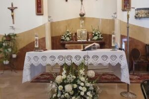 KWIACIARNIA CZERWONE MAKI