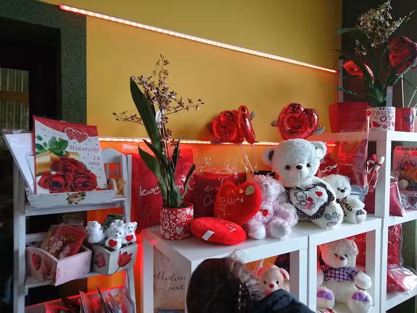 Kwiaciarnia Dąbrówka Marianna Mędrzycka