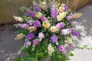 Kwiaciarnia Domaschke