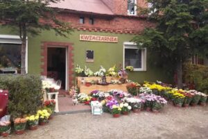 Kwiaciarnia Donistyl Dominika Kurpik