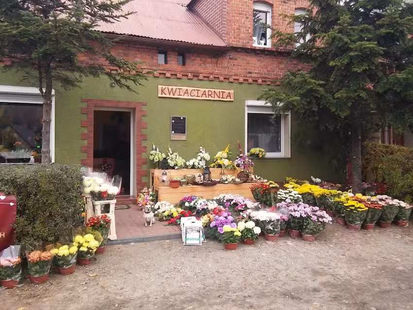 Kwiaciarnia Donistyl Dominika Kurpik