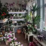 Kwiaciarnia Dorota