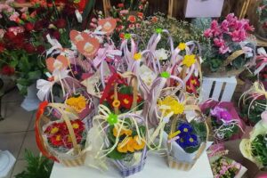 Kwiaciarnia Drogeria GAJA Tarnów – Mościce