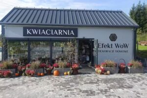 Kwiaciarnia Efekt WoW
