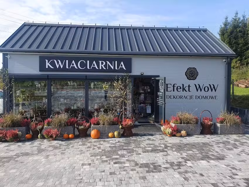 Kwiaciarnia Efekt WoW