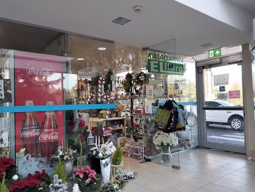 Kwiaciarnia Elflora Bydgoszcz