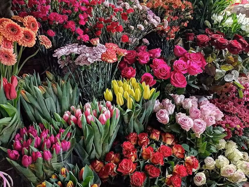 Kwiaciarnia Elżbieta Basoń