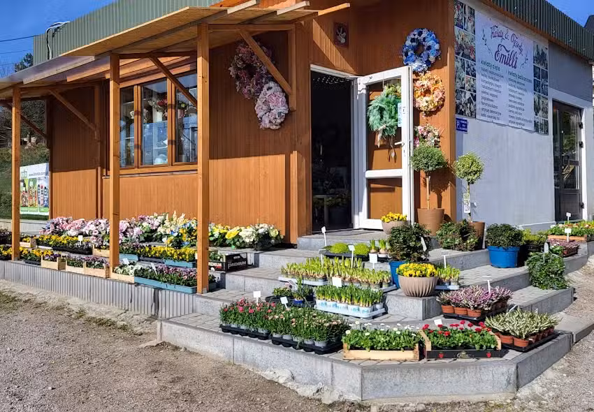 Kwiaciarnia Emilli