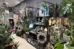 Kwiaciarnia Euforia Kokoszyce