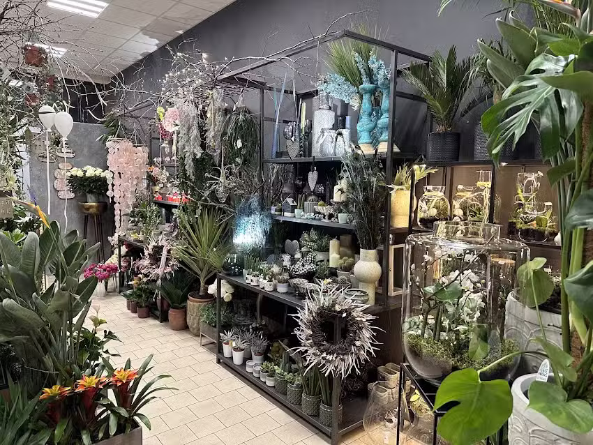 Kwiaciarnia Euforia Kokoszyce