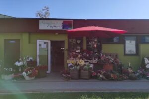 Kwiaciarnia Euphoria