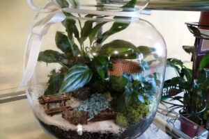 Kwiaciarnia EURO-FLORA