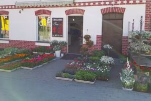 KWIACIARNIA EWA – EWA MALLEK PASZYLK