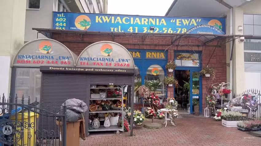 Kwiaciarnia Ewa. Trela Marek