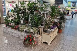 Kwiaciarnia “Ewa” Vivo Piła