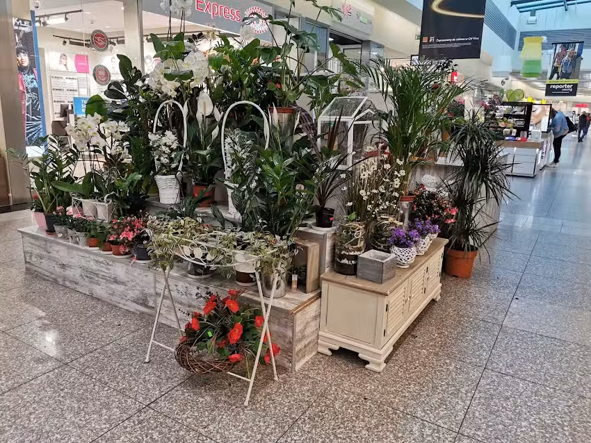 Kwiaciarnia “Ewa” Vivo Piła