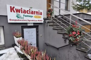 Kwiaciarnia Fantazja A & A Grobelak