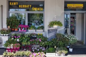 Kwiaciarnia Finezja Młociny Warszawa Bielany – bukiety ślubne, wiązanki, wieńce pogrzebowe